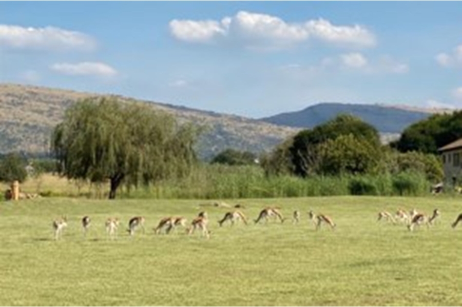 3 Bedroom Property for Sale in WestLake Country Safari Estate North West
